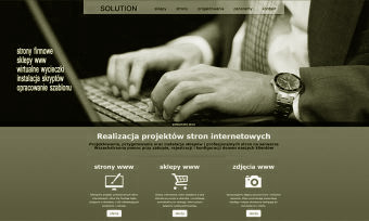 Profesjonalne sklepy internetowe w Polsce